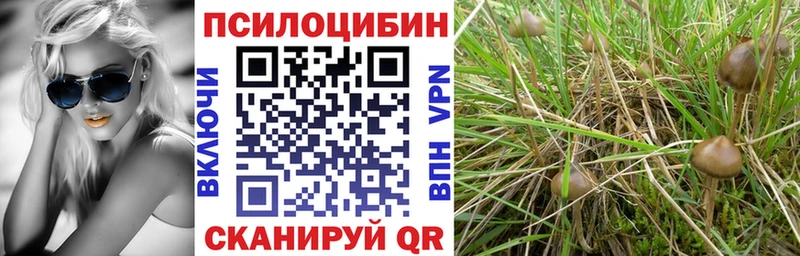 Купить закладки  Красноуральск  Псилоцибиновые грибы Magic Shrooms 